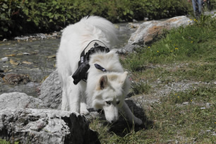 Destino - Jack beim Suchen